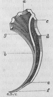 Fig. 26.