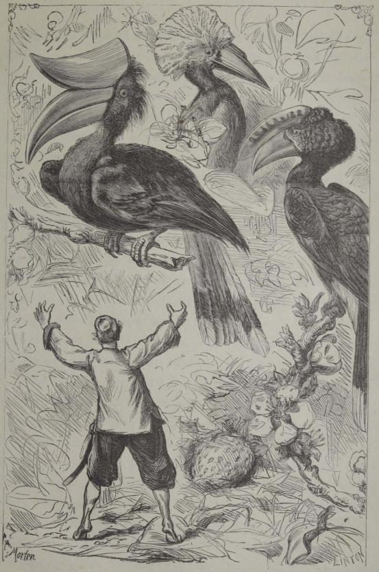 <smalIll. T. Morten                                LINTON Sc</smal<bSmåfuglene syntes ikke at være det ringeste ræd for mig. S. 175.