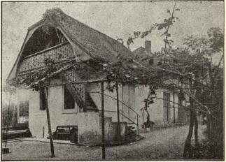 »La petite maison» där Strindberg och hans familj hade sin<bbostad sommaren i884.