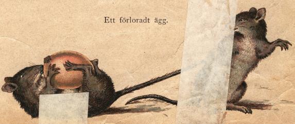 Ett förloradt ägg. Ett förloradt ägg.