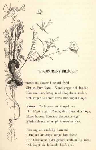 <smalill. C. L.[=Carl Larsson]        J. E.[=Jonas Engberg]</smal<b<bi”BLOMSTRENS BILÄGER.”</bi