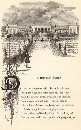 Ill. C. L.[=Carl Larsson]<b<biI BLOMSTERGÅRDEN.</bi