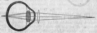 Fig. 70.