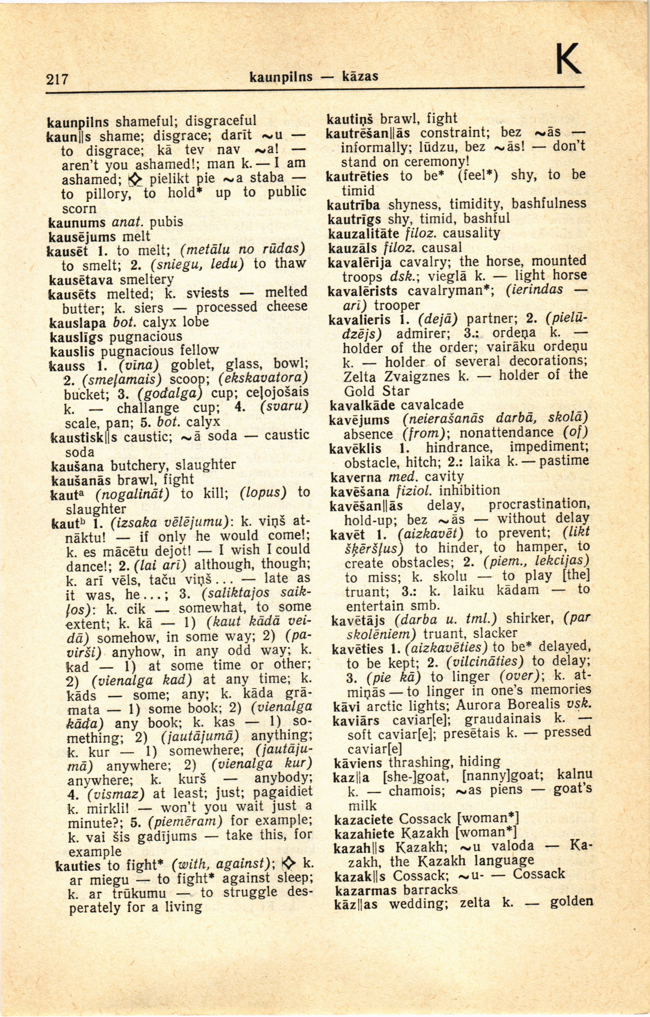217 (Latvian-English dictionary : Latviesu-anglu vardnica)