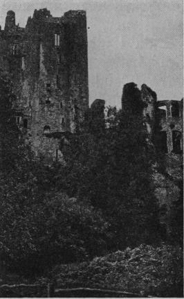 Blarney Castle.