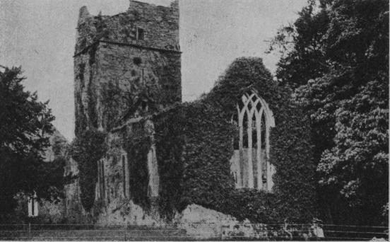 Muckross Abbey. Muckross Abbey.