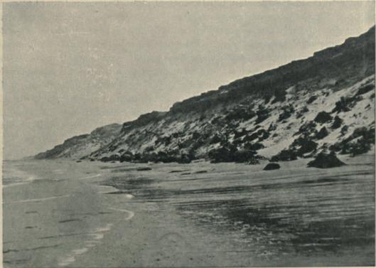 Fig. 1. Martorflager i strandbranten mellan Studeli Rende och Kannesteder (D. G. U., I R., no. 3, 1899).