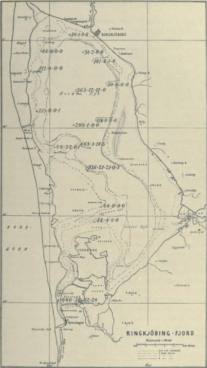 Fig. 30. Antal af Rødspætter af de forskellige Aldersgrupper fanget pr. Time med finmasket Skovltravl i Sommeren 1912.<bFørste Tal angiver Individantallet af O-Gr., andet Tal Individantallet af I-Gr. o. s. fr.