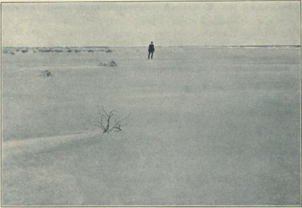 Cliché 5. Rivage à l’est de Saintes-Maries, vu dans la direction ouest-est; au fond,<bà droite, la mer; à gauche, la lisiére d’une formation clairsemée de Salicornia glauca;<bbeaucoup d’individus éteints ou fort détériorés. Cliché 5. Rivage à l’est de Saintes-Maries, vu dans la direction ouest-est; au fond,<bà droite, la mer; à gauche, la lisiére d’une formation clairsemée de Salicornia glauca;<bbeaucoup d’individus éteints ou fort détériorés.