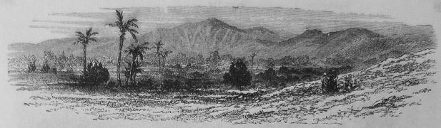 13. Utsigt öfver Jerichos slätt.