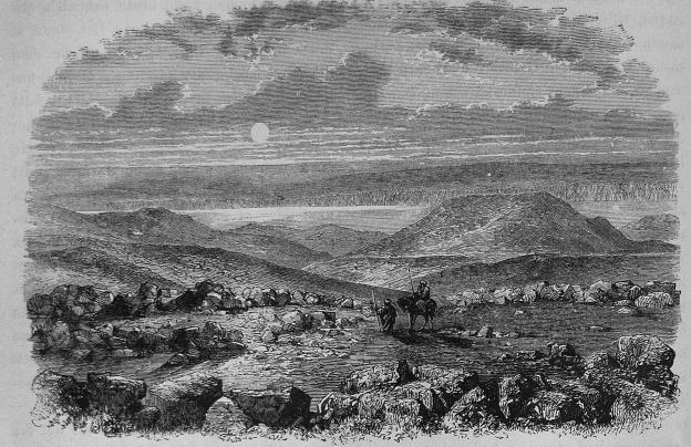 122.  Ruiner af Machaerus.