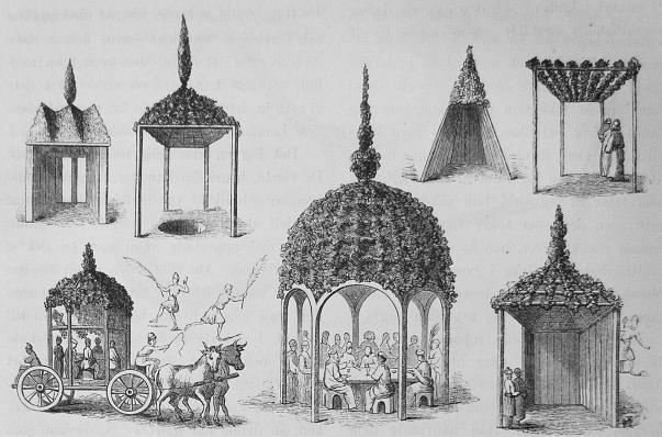 <b171. Olika slags löfhyddor.<b(Efter Surenhusins.) <b171. Olika slags löfhyddor.<b(Efter Surenhusins.)
