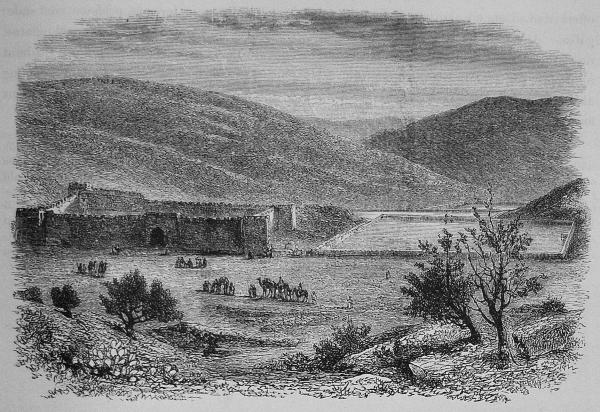 270. »Salomos dammar». 270. »Salomos dammar».