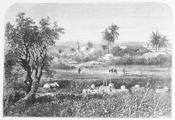 18. Utsigt öfver Jezreéls slätt.