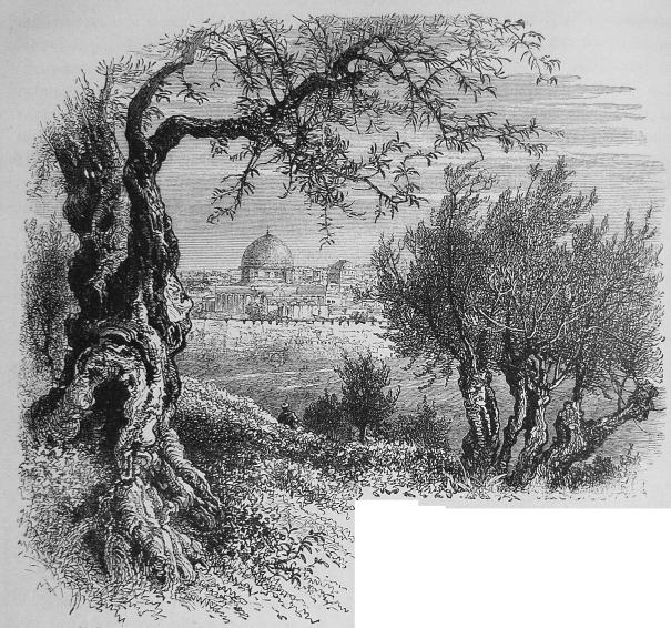 83. Jerusalem, sedt från vägen till<bBethanien. 83. Jerusalem, sedt från vägen till<bBethanien.