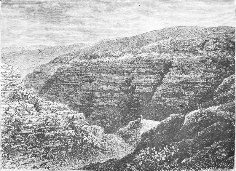 39. Juda öken.