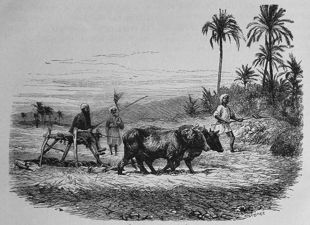 40. Österländsk tröskplats. 40. Österländsk tröskplats.