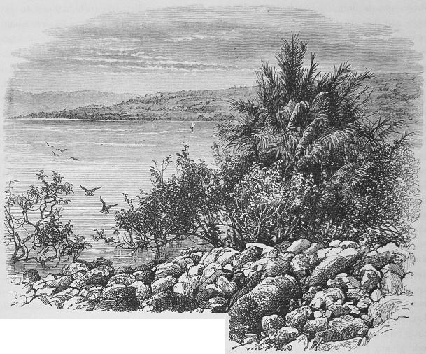 56. Kapernaums läge.