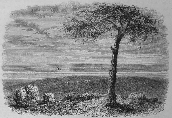 216. Onda rådets berg. 216. Onda rådets berg.