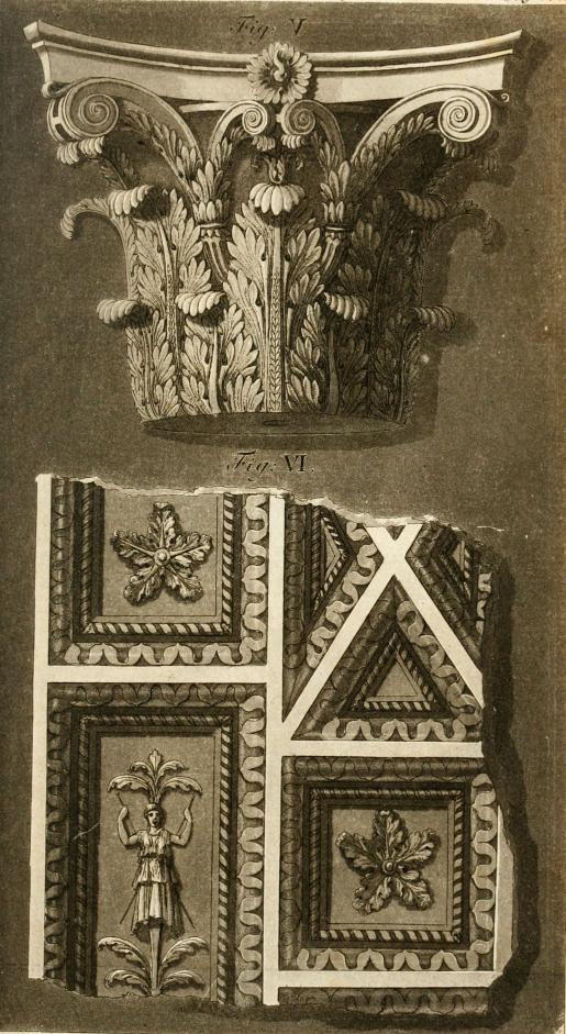 Fig: V.- VI.