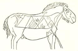 Fig. 1. Häst i spanska grottmålningar.