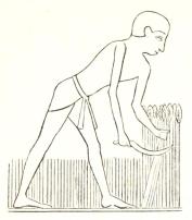 Fig. 11 Toppning av säd. Fig. 11 Toppning av säd.