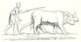 Fig. 32. Romerskt krokårder. Fig. 32. Romerskt krokårder.