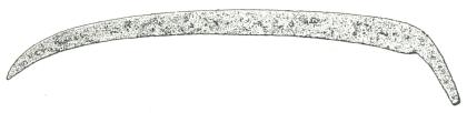 Fig. 44. Lie av järn. Vikingatiden. Södermanland Fig. 44. Lie av järn. Vikingatiden. Södermanland