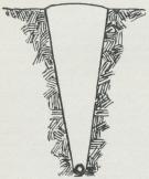 <bFig. 3. Genomskärning av rördike.<b <bFig. 3. Genomskärning av rördike.<b