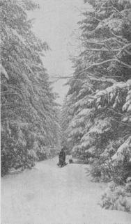 "Gamla landsvägen" vid Fängenhällarna,<ben 1 km. lång kälkbacke.