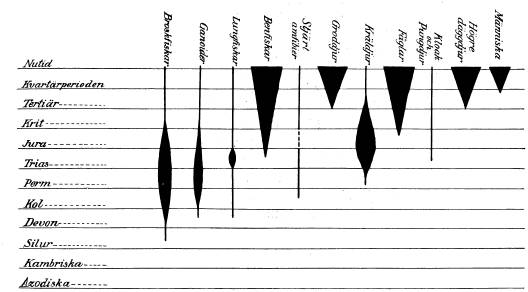 <bFig. 44. Öfversikt öfver jordåldrarna (de geologiska <bperioderna). Streckens olika tjocklek antyder de <bsärskilda ryggradsdjursgruppernas växlande talrikhet <bunder olika perioder.<b