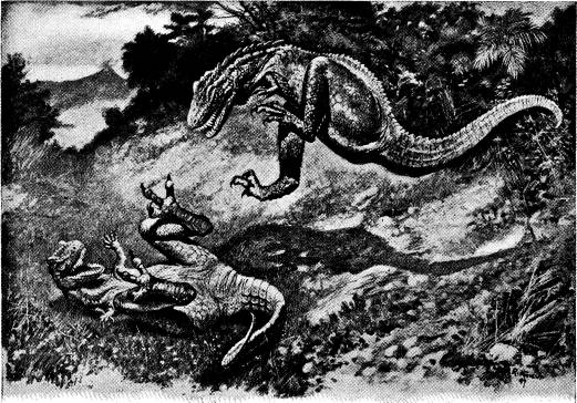 <bFig. 56. Laelaps, en skräcködla från kritperioden<b(rekonstruktion efter Knight).<b