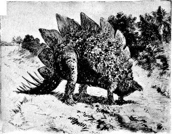 <bFig. 57. Stegosaurus, en skräcködla från<bjuraperioden (rekonstruktion efter Knight).<b
