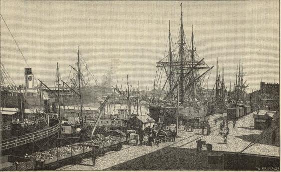 Bild från Göteborgs hamn.