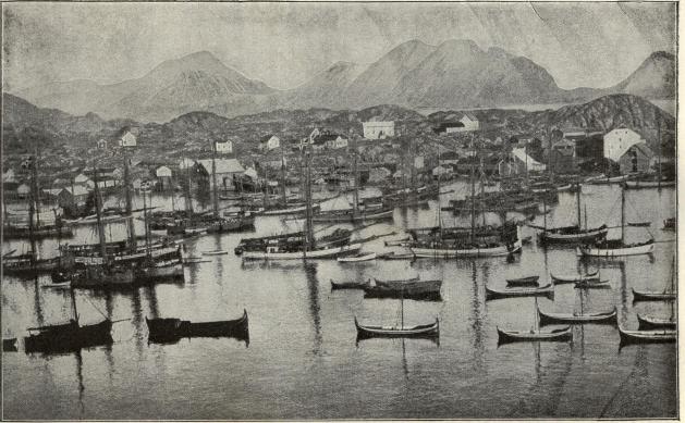 Fiskarflotta vid Lofoten.
