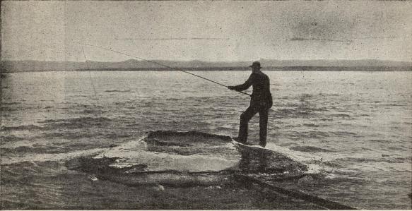 »Fiskgrytan» i Yellowstonesjön.