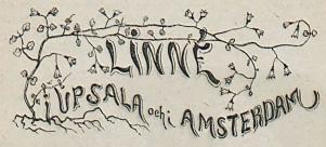 Linné i Upsala och i Amsterdam<bSkizz af <span class=