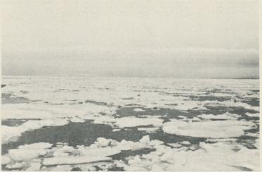 <bFoto Ad. Hoel ombord på "Krassin" 1928.<bDrivis norr om Spetsbergen.