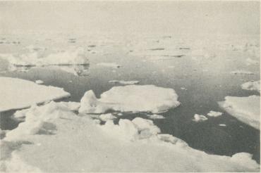 <bFoto E. Christeli 1928.<b<bFördelad is. <bFoto E. Christeli 1928.<b<bFördelad is.