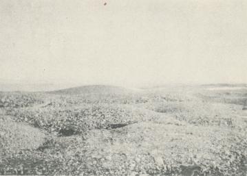 <bFoto  Sörensen  1930.<b<bDet bara landet på Vitön, utsikt mot havet, 6 aug.  1930.<b<bCopyright Svenska Dagbladet.