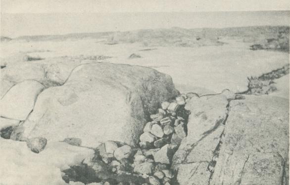 Foto Sörensen 1930.<b<bStrindbergs grav.<bCopyright Svenska Dagbladet.