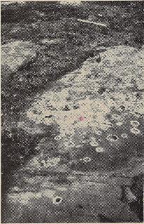 Bild 23. Älvkvarnar vid Almviks by.