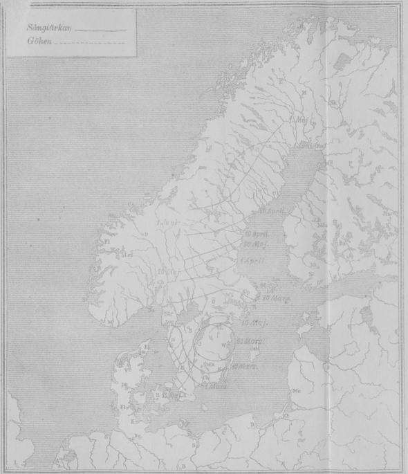 XVIII.<bSånglärkans och Gökens ankomsttider.