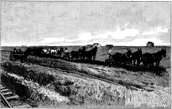Plöjning på min farm i Red Riverdalen.