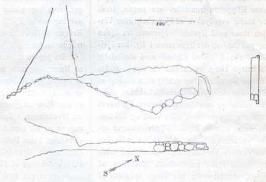 Fig. 4. Grundplan op Tversnit af Dolsteinsholet.