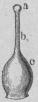 499. Pistill.<tabl<t<ta Märke.</t</t<t<tb Stift</t</t<t<tc Fruktämre.</t</t</tabl 499. Pistill.<tabl<t<ta Märke.</t</t<t<tb Stift</t</t<t<tc Fruktämre.</t</t</tabl