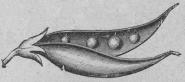 510. Fröbalja. 510. Fröbalja.