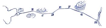 Plan.
