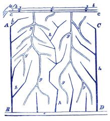 Fig. 46  a.