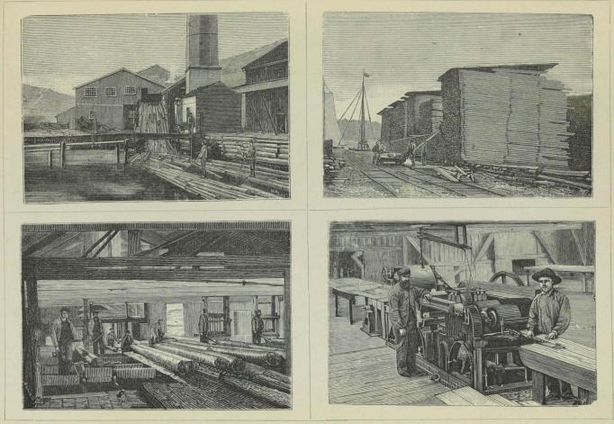 <smalIll. WALDOR, X. I.</smal<bSagbrug og høvleri ved Fredrikstad.